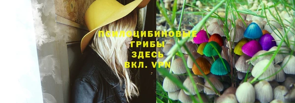 метадон Мегион