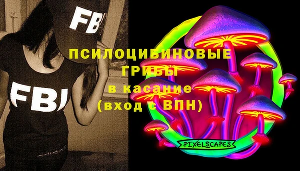 не бодяженный Новодвинск