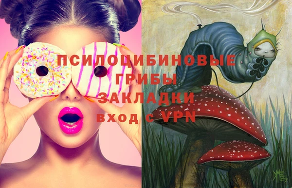 синтетический гашиш Новозыбков