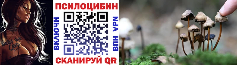Галлюциногенные грибы MAGIC MUSHROOMS  где можно купить   Александровск 