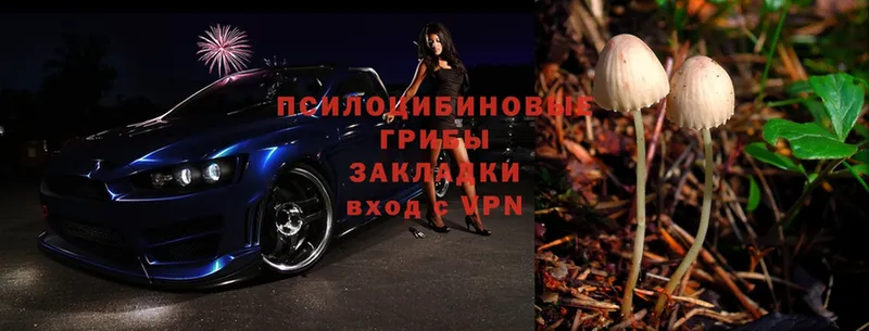 Псилоцибиновые грибы прущие грибы  МЕГА   Александровск 